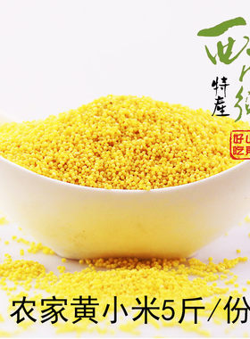 胶菘黄小米西南乡农家杂粮土特产