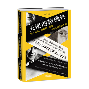 天使的精确性 作者:[美] 威廉 · 埃金顿 著 鲁擎雨 译 出版社:天津人民出版社