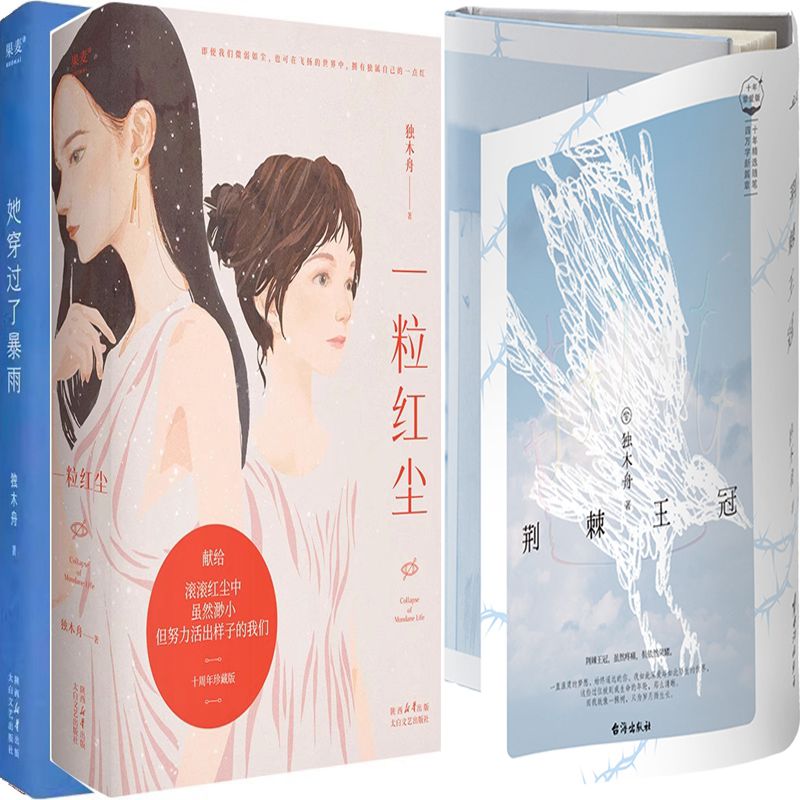荆棘王冠+一粒红尘+她穿过了暴雨共3册 作者:独木舟 独木舟小说 独木舟作品