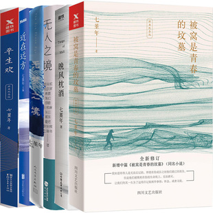 七堇年作品集6册 晚风枕酒+被窝是青春的坟墓+平生欢等 七堇年 青春小说