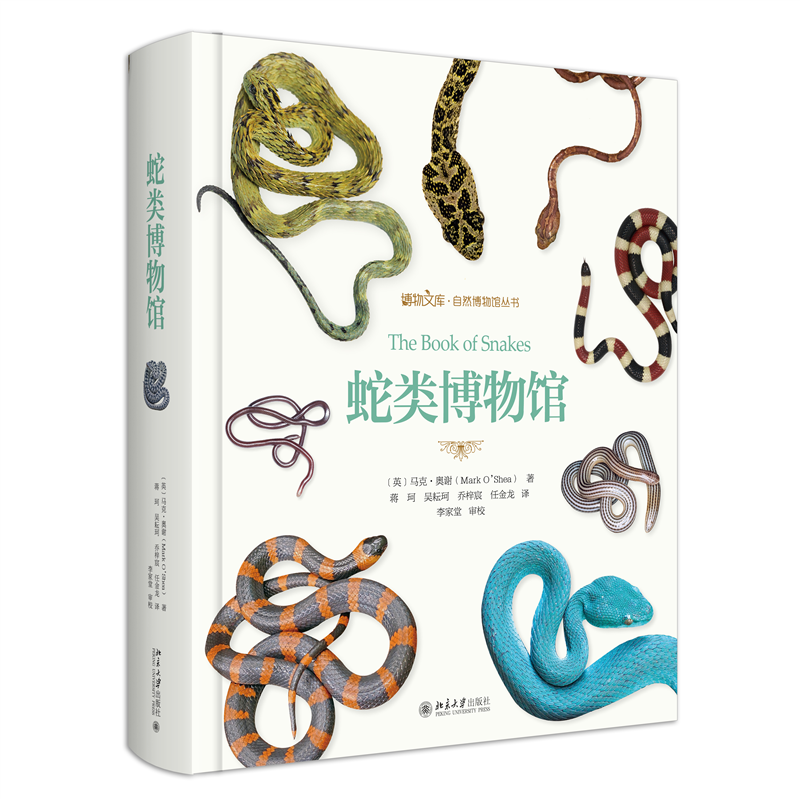 蛇类博物馆 自然博物馆丛书 作者:[英]马克·奥谢 著, 蒋珂,吴耘珂,乔梓宸,任金龙 译 出版社:北京大学出版社