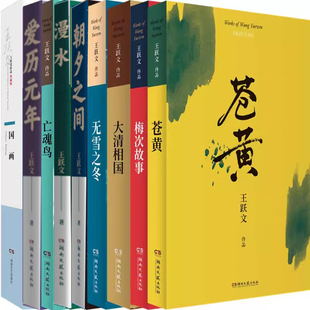 梅次故事 官场小说 亡魂鸟 国画 苍黄 大清相国 漫水等9册 王跃文作品