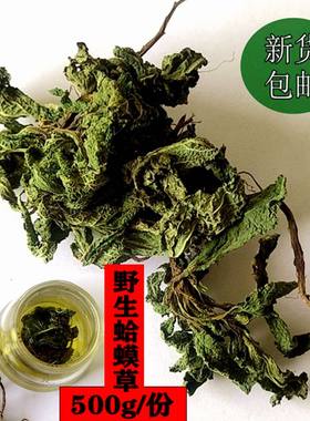 新货新鲜天然野生蛤蟆草茶干的整棵荔枝草癞蛤蟆草雪见草500g嫩苗