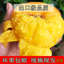 包邮 蒙阴蜜桃黄金蟠桃水果黄肉黄桃孕妇桃子黄毛蟠桃新鲜采摘应季