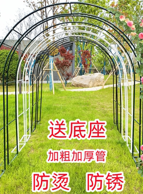 铁艺拱门花架爬藤架花园阳台植物支架铁线莲户外庭院月季葡萄蔷薇