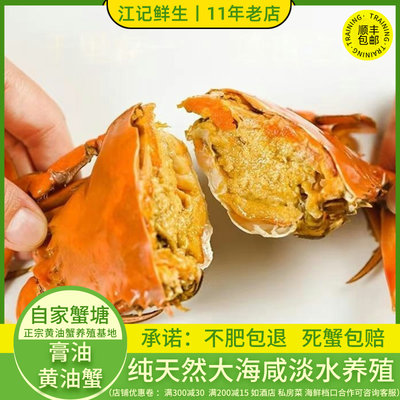 江记鲜生黄油蟹膏油蟹南沙蟹送礼