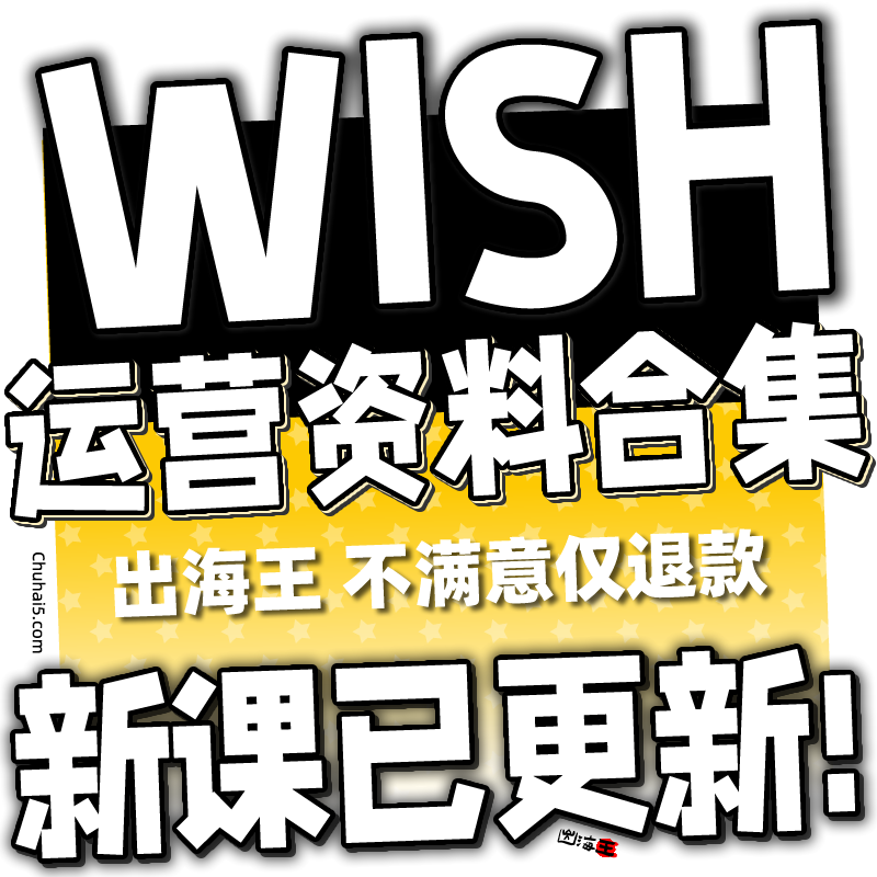 wish视频课程卖家店铺外贸推广指导培训运营教程开店跨境电商
