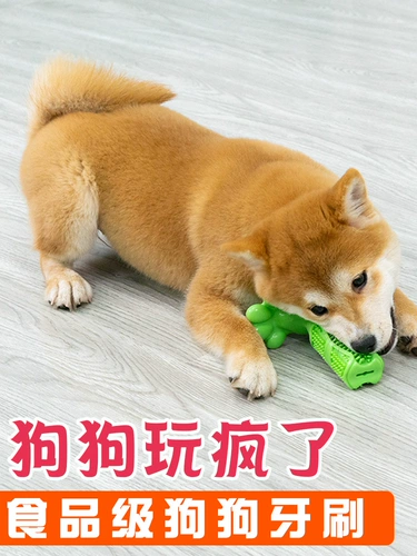 Dog Toy 13 -Year -Sold храните 15 цветов игрушек, игрушек, больших собак, измельчения зубов, измельчения зубов, зубов, зубов, зубной щетки Shiba in