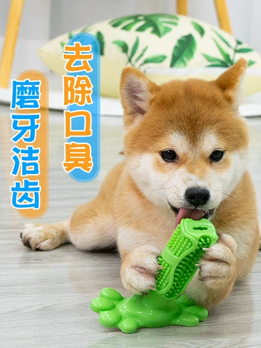 Dog Toy 13 -Year -Sold храните 15 цветов игрушек, игрушек, больших собак, измельчения зубов, измельчения зубов, зубов, зубов, зубной щетки Shiba in