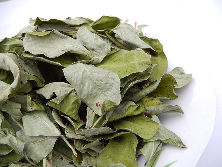 新货干花生叶1斤500克包邮无霉变花生叶茶泡茶