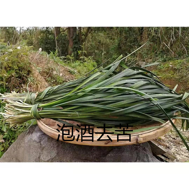 新鲜麦冬宽叶土麦冬苗500g泡酒去苦特价促销