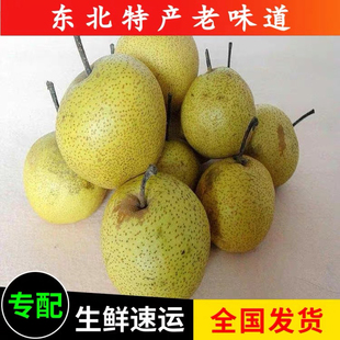 酸梨安梨东北特产正宗辽宁绥中酸梨河北大酸梨开胃酸甜5斤装包邮