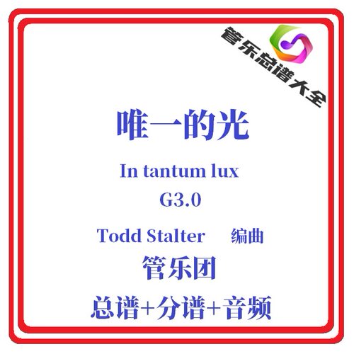 管乐总谱-唯yi的光3.0级总分谱