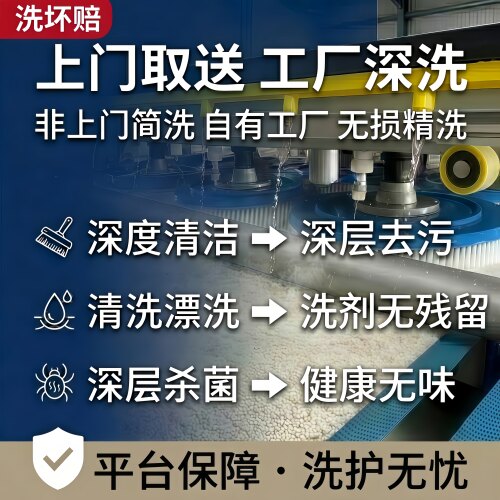 羊毛地毯专洗·不伤毛·除螨去味