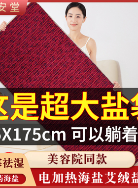 电加热海盐毯海盐盐袋粗盐热敷包理疗袋电加热艾灸热敷毯垫盐袋子