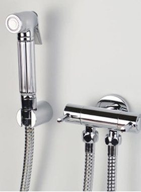 TENKY全铜增压小花洒马桶三角阀喷枪阀门多功能角阀妇洗器喷头