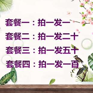 网易163pop账号游戏带授权码 账号可登录邮箱大师无风险