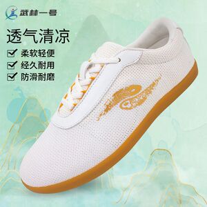 武林一号夏季透气太极鞋