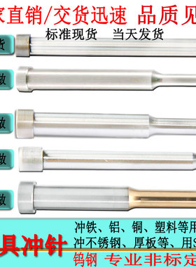 冲针冲头冲子冲孔T冲A冲尖头引导冲SKD11SKH51钨钢冲镶针非标定做