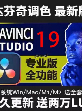 达芬奇19 DaVinci调色软件 Win Mac M1 M2中文专业版支持远程0545