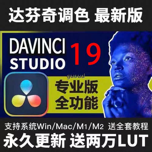 达芬奇19 DaVinci调色软件 Win Mac M1 M2中文专业版支持远程0545