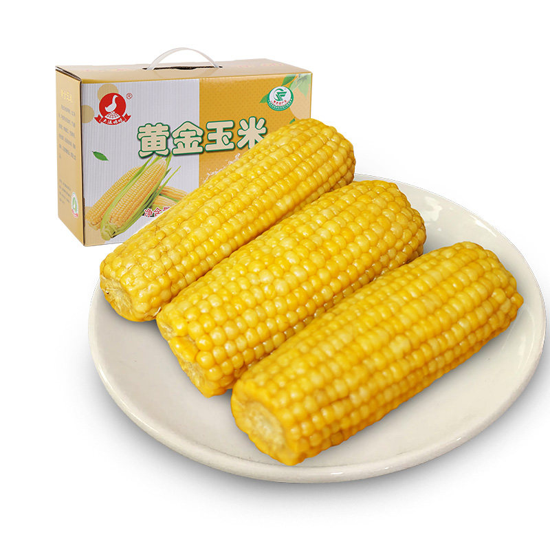 光明崇明农场大瀛黄金玉米粘玉米棒子熟甜玉米即食苞米日期新鲜