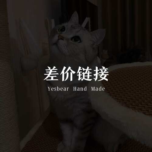Yesbear大熊手作 差价补拍 差多少拍多少就可以啦