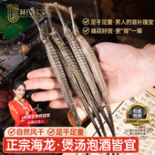 六角海龙干货正品 大刁龙煲汤泡酒料男性滋补新鲜海产品非中药材