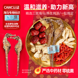 三斑海马干一公一母田七煲汤料包黄芪麦冬非中药材饮片增儿童高汤