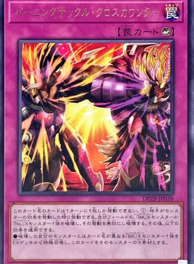 【假面卡牌】游戏王 R 银字 燃烧拳交叉反击 DP28 日版