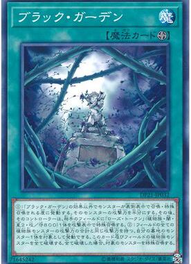 【假面卡牌】游戏王 DP21 N 黑色花园