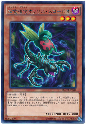 【假面卡牌】游戏王 R银字 捕食植物 蜂兰蝎 912 MACR 日版