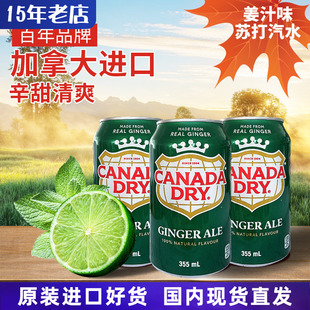 Ale姜汁味汽水加干柠檬味碳酸饮料355ml Ginger 加拿大Canada dry