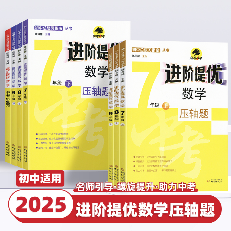 2025正版初中数学进阶提优七年级八年级九年级上下册初中数学压轴题专项强化训练数学压轴大题精讲精练挑战中考数学南京出版社
