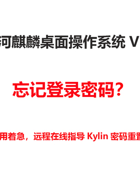 银河麒麟桌面操作系统V10 SP1 忘记登录密码重置 Linux密码重置