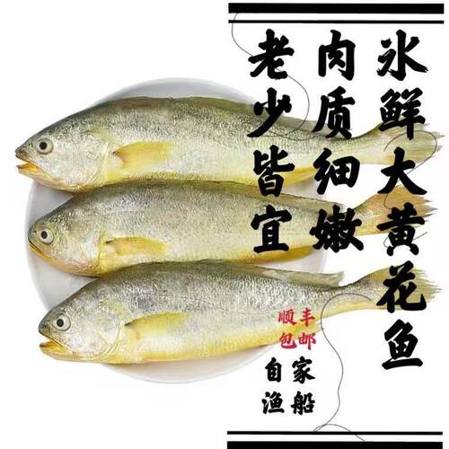 韩国黄花鱼多少钱 韩国黄花鱼价格 小麦优选 韩国黄花鱼多少钱 韩国黄花鱼价格 小麦优选