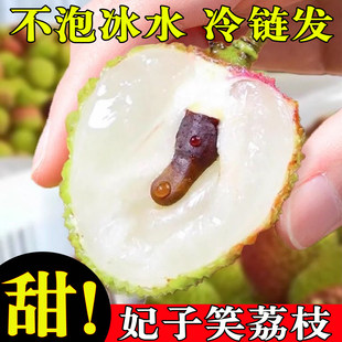 广西妃子笑荔枝新鲜水果核小多汁皮薄肉厚孕妇水果礼盒冷运直达
