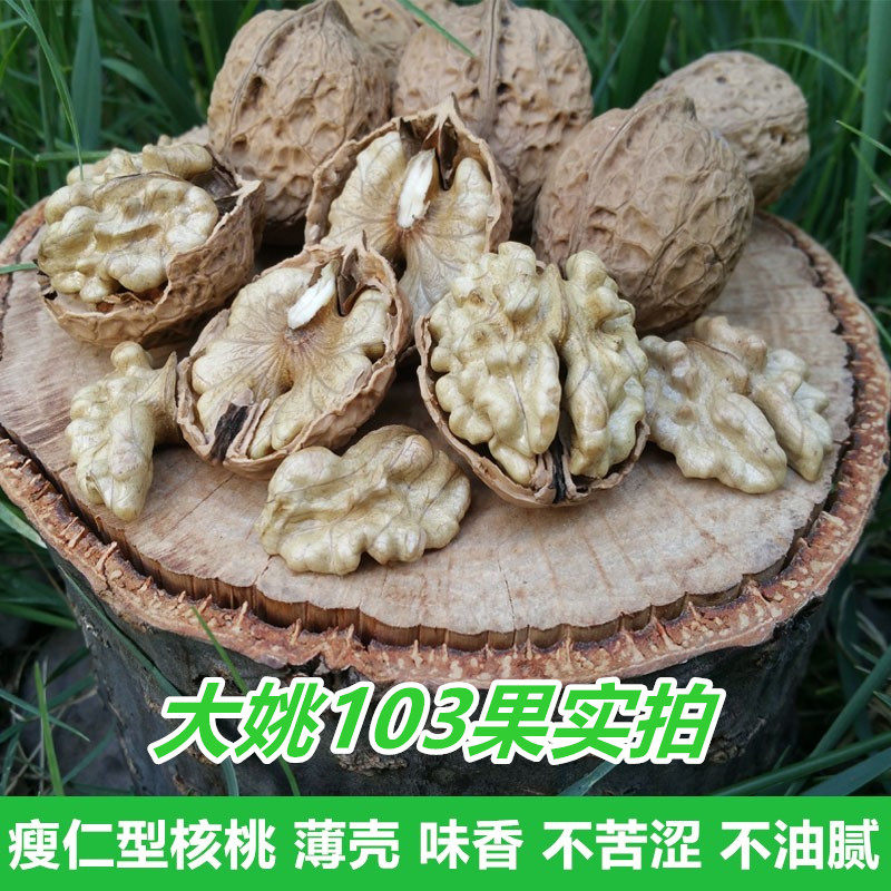 云南大姚103果优质5斤薄皮核桃
