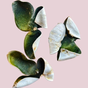 2025年新上市江门青皮柑皮橘子皮老树三开青皮500克无添加自收藏