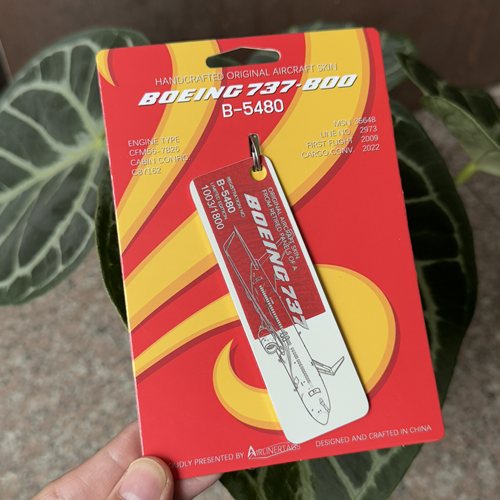 中国海南航空波音737飞机蒙皮