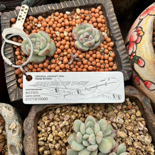 Airlinertags美国联合航空波音747-100飞机蒙皮741钥匙扣文创挂件