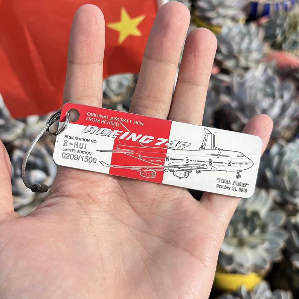 香港国泰港龙空客320原始飞机皮