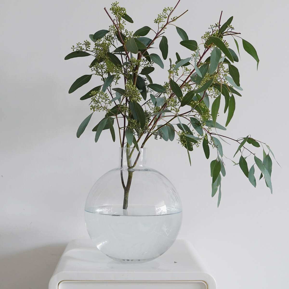 OOOOHins简约圆形玻璃水培花瓶