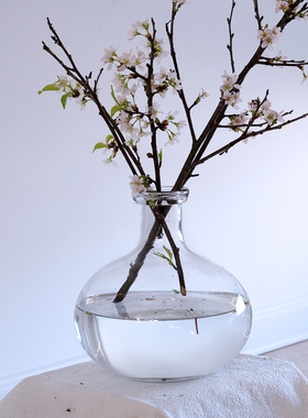 OOOOH简约圆形大肚瓶吊钟马醉木插枝插花水培透明玻璃花瓶