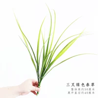 Trigema зеленая весенняя трава