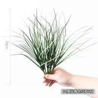 30 см пружины Pure Grass 5 ветвей