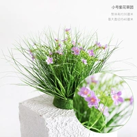 Маленькая фиолетовая цветочная группа