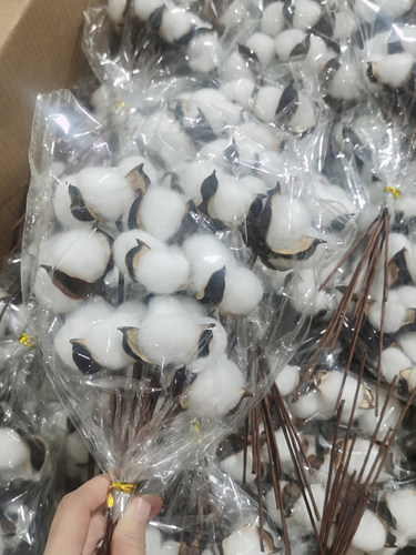 圣诞节单支棉花diy家具摆件