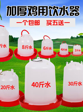 自动饮水器安牧科喂水桶家禽