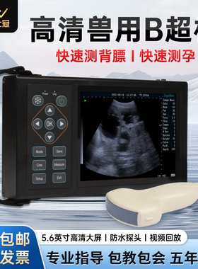 兽用B超机猪牛羊用测孕仪器高清彩屏便携式彩超仪背膘仪超声验孕